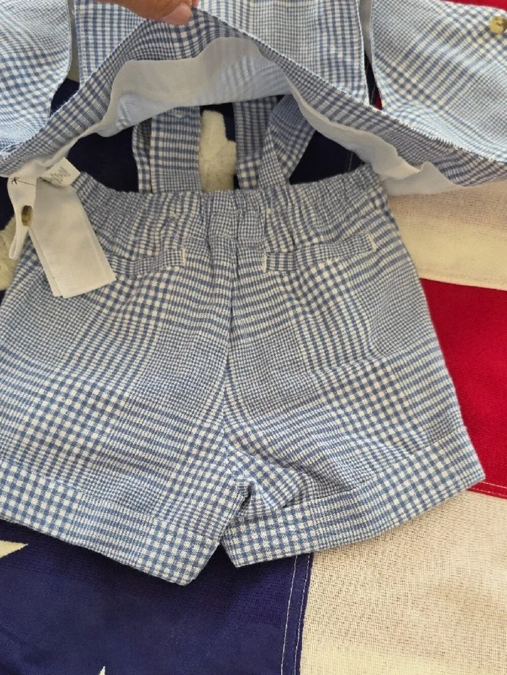 Janie and Jack Blue Gingham Vest & Shorts Set